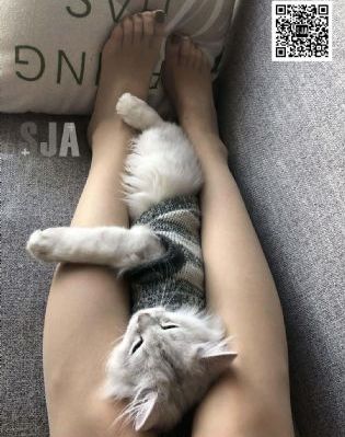 久久婷婷五月综合色99_HDHD在线观看